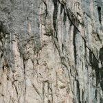 nika-valeo-01web