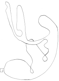 kosmotopy