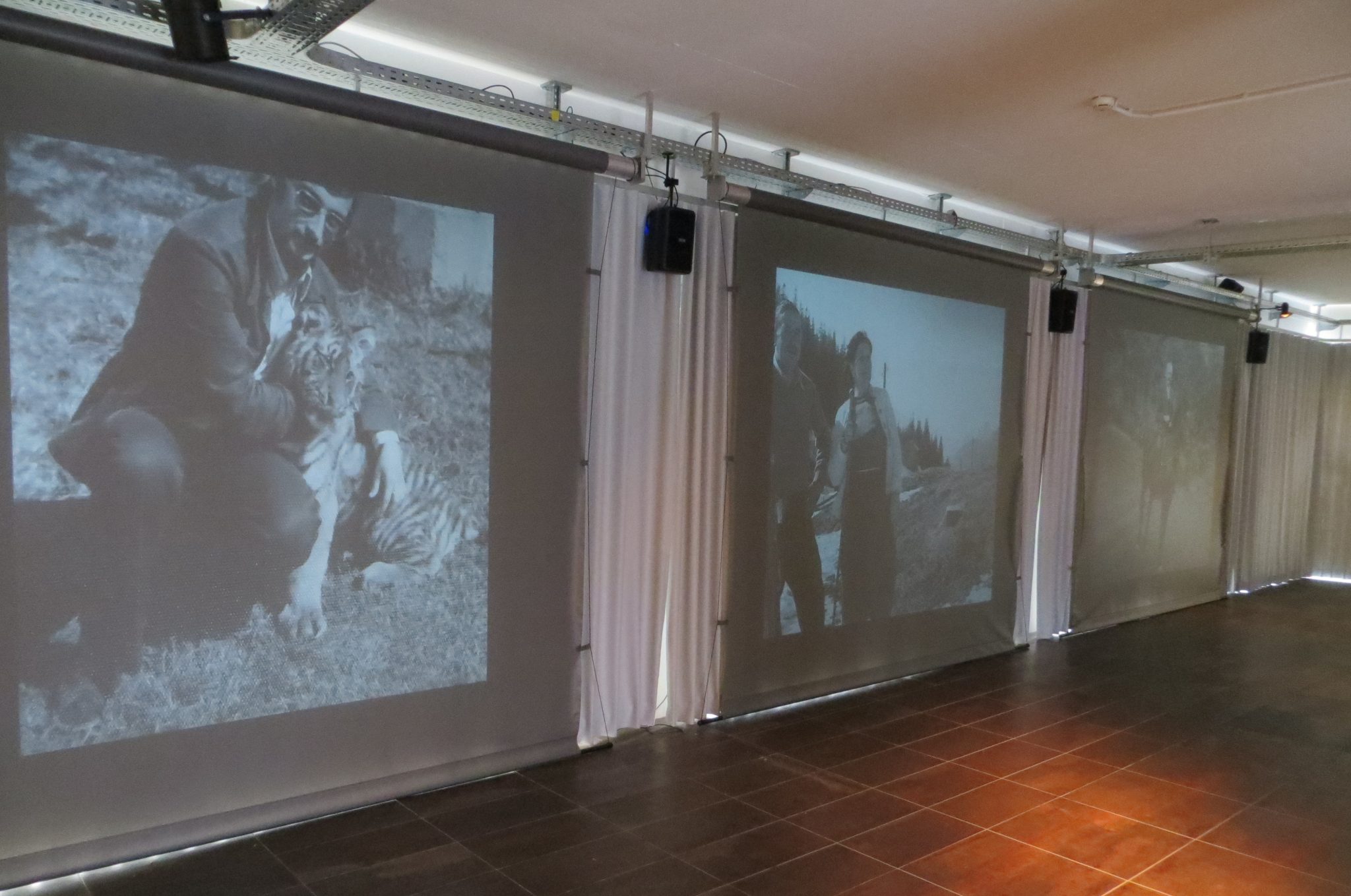 Finissage Asynchrone Erinnerungen