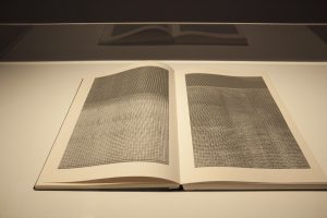 La Société Anonyme 