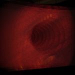 The motions of bodies. Four states of matter. Plasma 01, © esc medien kunst labor