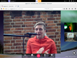 Artist's Meeting und Workshop, Videokonferenz London - Linz - Graz, Foto: Screenshot esc