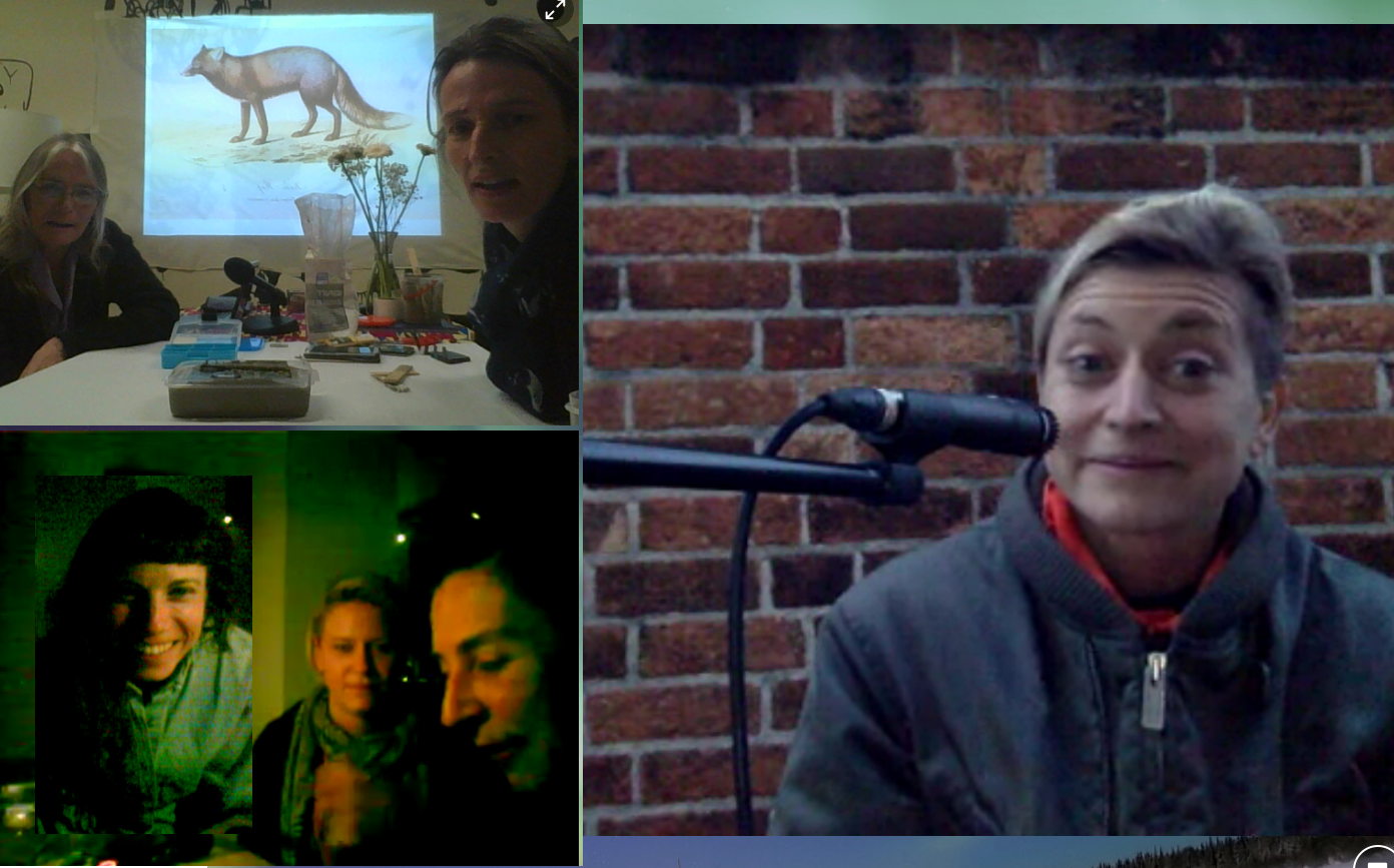 Artist's Meeting Videokonferenz London-Linz-Graz