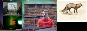 Artist's Meeting und Workshop, Videokonferenz London - Linz - Graz, Foto: Screenshot servus.at