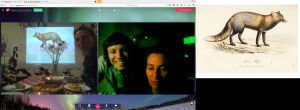 Artist's Meeting und Workshop, Videokonferenz London - Linz - Graz, Foto: Screenshot servus.at