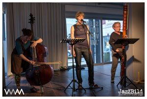 (c) Peter Purgar_Konzert: Ute Wassermann / Pia Palme / Margarete Maierhofer-Lischka_26.05.2017