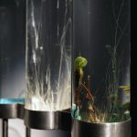 No 2 Time Displacement  _ Chemobrionic Garden by Robertina Šebjanič, Aleš Hieng – Zergon, Ida Hirsenfelder photo by Katra Petriček