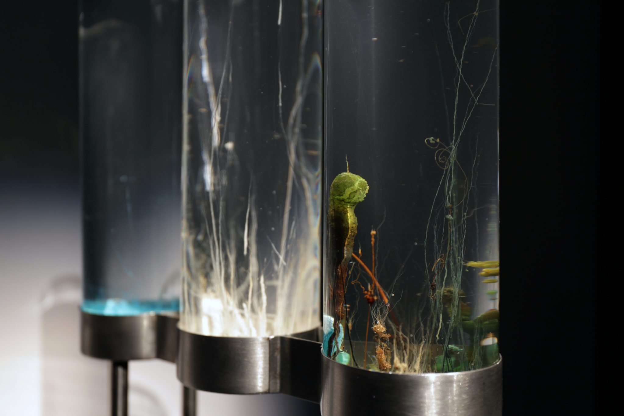 esclab: ASSONANCE OF DROPS