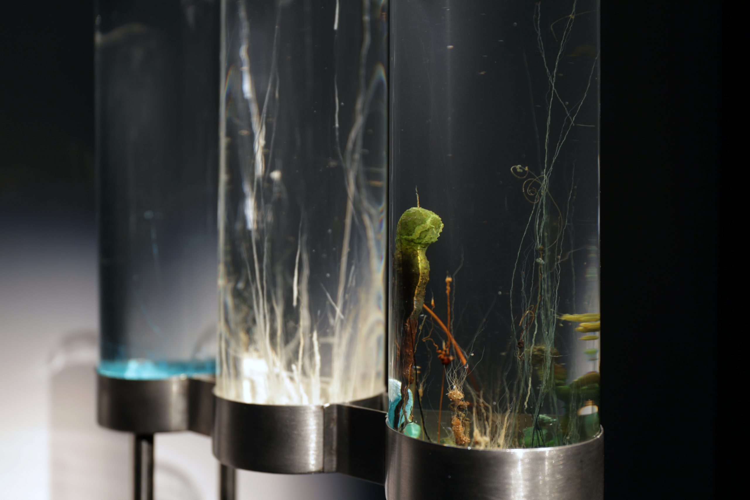 No 2 Time Displacement  _ Chemobrionic Garden by Robertina Šebjanič, Aleš Hieng – Zergon, Ida Hirsenfelder photo by Katra Petriček