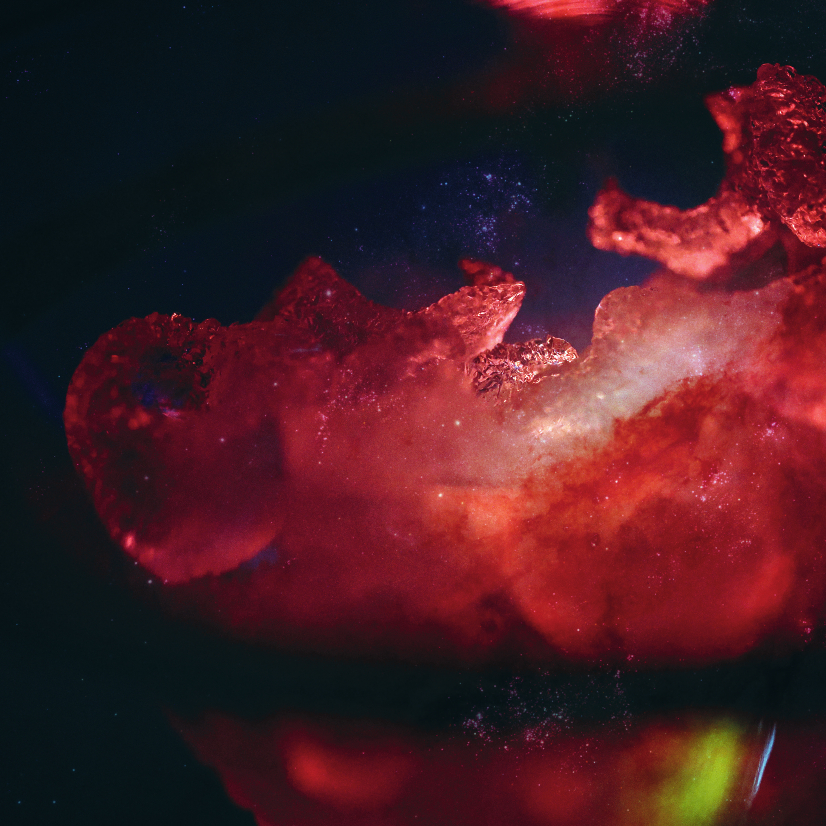 © Kathy Hinde & NASA. Flyersujet: .siacus)