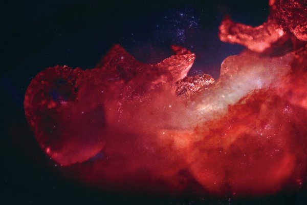 © Kathy Hinde & NASA. Flyersujet: .siacus)