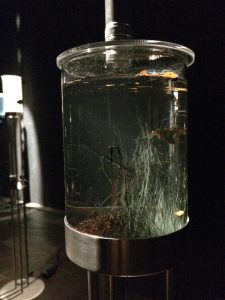 Assonance-of-Drops_Ausstellungsansicht_by_R.Sebjanic_I.Hirsenfelder_A.Hieng-Zergon_@_esc_medien-kunst-labor_©_esc-mkl_Foto:_Nayarí-Castillo