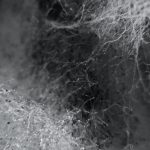 ITERATIONEN_Projekt-Collaboration-Contamination_@_esc_medien-kunst-labor_©_esc-mkl_Foto:_Miriam-Raggam