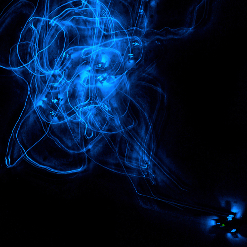 EMPATHY_SWARM_CURIOUS_TAUTOPHONE_AND_DR._DOPPLERS_MACHINE_by_K.Hochschuh_A.Donovan_©_esc_medien_kunst_labor