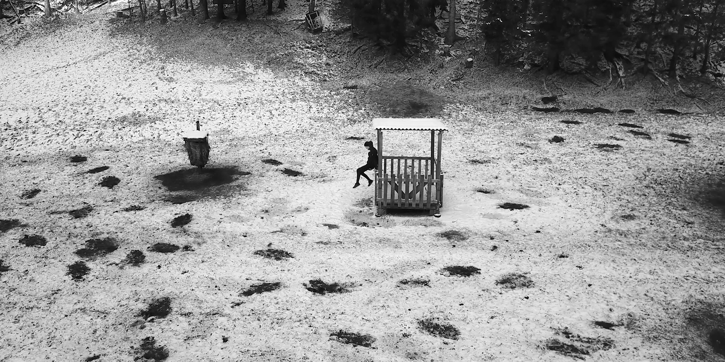 ©_esc_medien_kunst_labor_HOUNDED_Johanna_Arco_Videostill:_Johanna_Arco