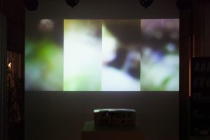 ©_esc_medien_kunst_labor_HOUNDED_by_Johanna_Arco