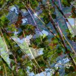 constant Iterations