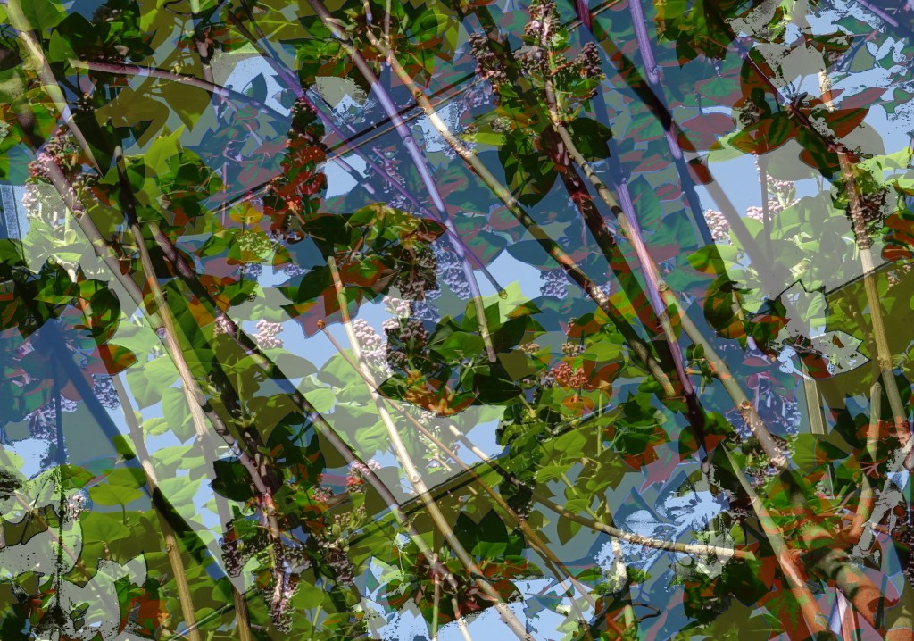 constant Iterations