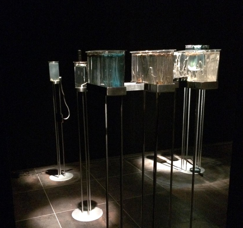 Fenster 3 – Art Piece 3: Robertina Sebjanic, Ida Hirsenfelder und Ales Hieng-Zergon, Time Displacement / Chemobrionic Garden
