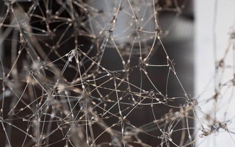 Fenster 17 – Art Piece 17: Juliana Herrero, On the Filaments, there where the plateau rises