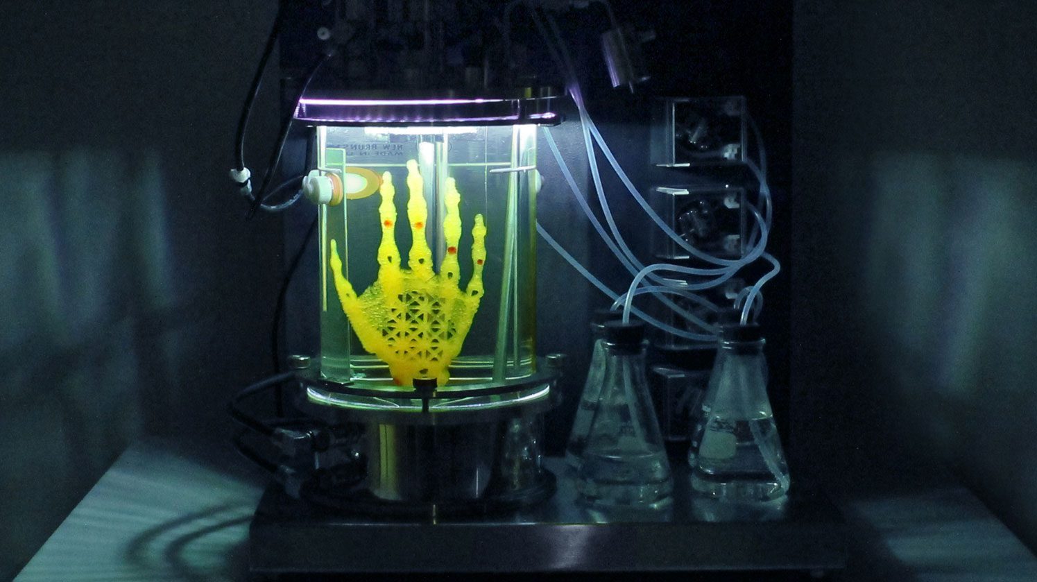 REGENERATIVE RELIQUARY