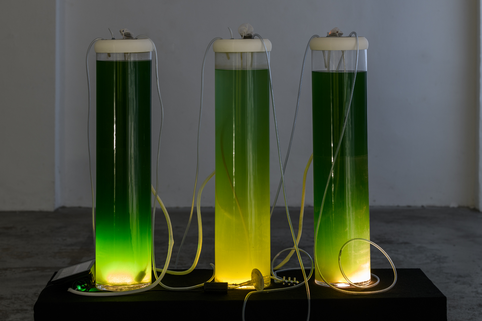 Installationsansicht Hylē von Theresa Schubert
