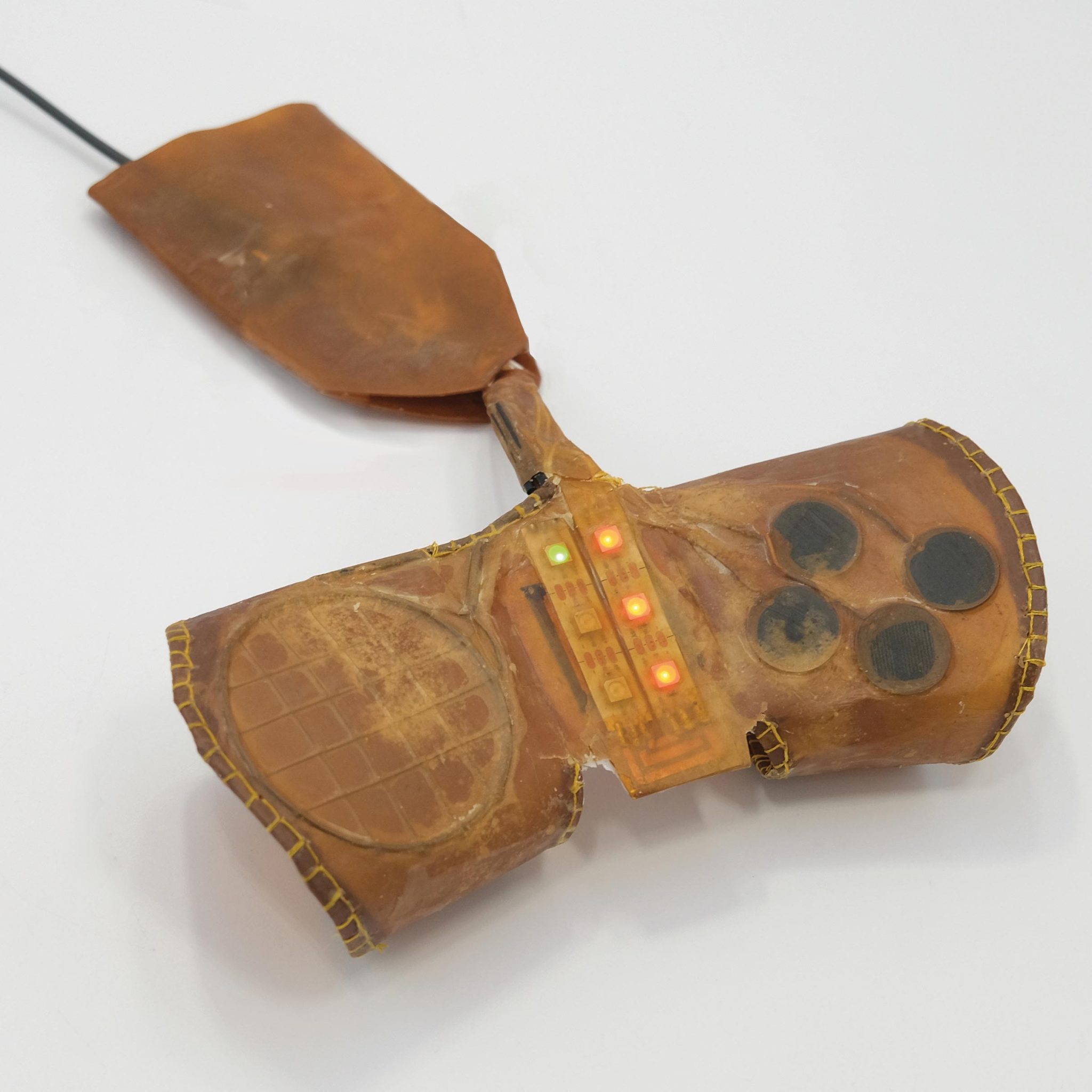 Biohybrid Device