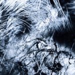 PLAYING ENTITY - Vitoria Cribb, Justine Emard, Flavia Mazzanti