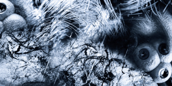 PLAYING ENTITY - Vitoria Cribb, Justine Emard, Flavia Mazzanti