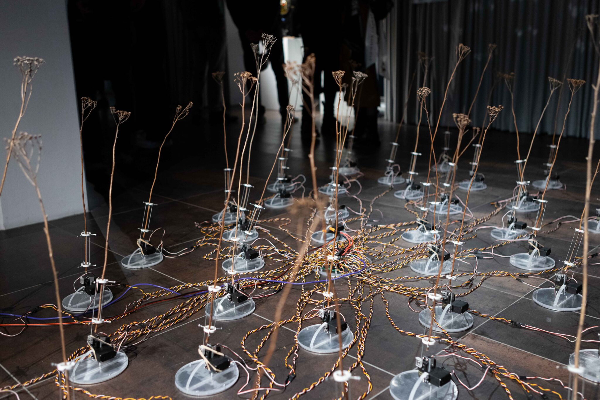 ©esc medien kunst labor_OUT_OF_CONTROL_Eröffnung_foto_martin gross